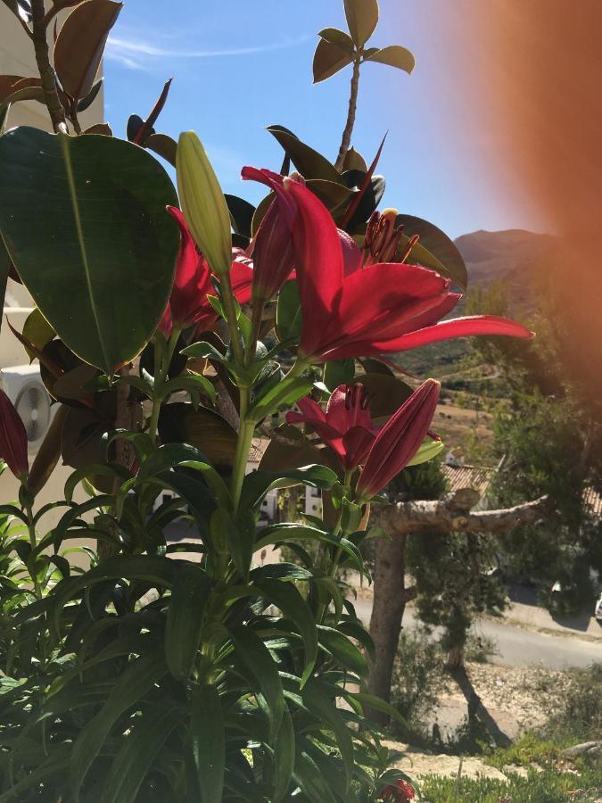 Apartamento Rural Casa Medico Turre Dış mekan fotoğraf