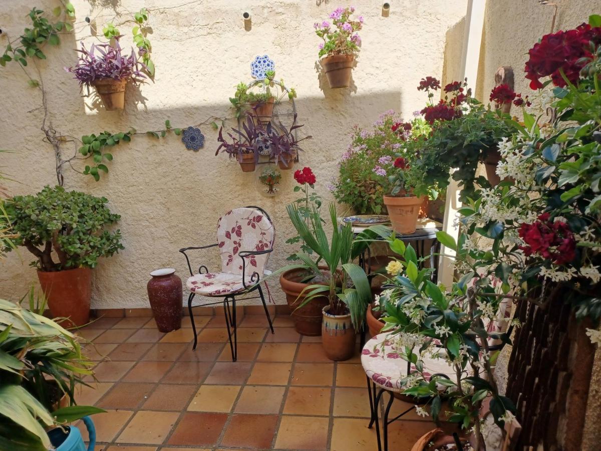 Apartamento Rural Casa Medico Turre Dış mekan fotoğraf